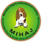 Logo - Miroslav Hajný (Hranice I-Město)